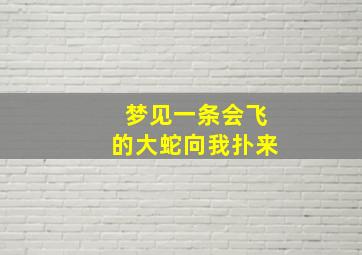 梦见一条会飞的大蛇向我扑来