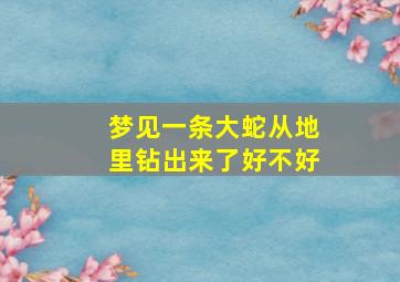 梦见一条大蛇从地里钻出来了好不好