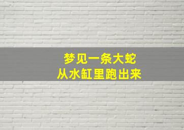 梦见一条大蛇从水缸里跑出来