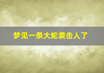 梦见一条大蛇袭击人了