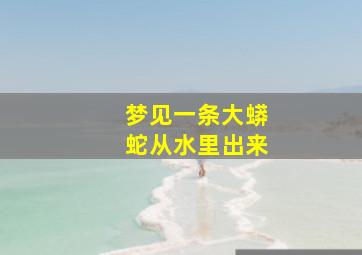 梦见一条大蟒蛇从水里出来