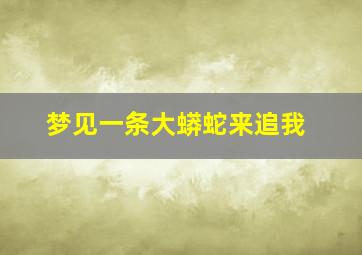 梦见一条大蟒蛇来追我