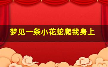 梦见一条小花蛇爬我身上