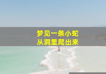 梦见一条小蛇从洞里爬出来