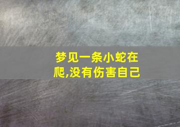 梦见一条小蛇在爬,没有伤害自己