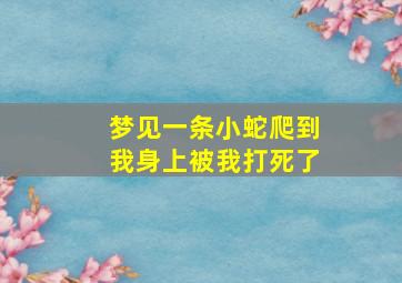 梦见一条小蛇爬到我身上被我打死了