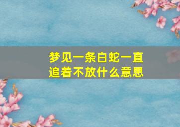 梦见一条白蛇一直追着不放什么意思