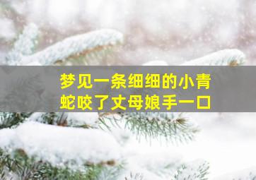 梦见一条细细的小青蛇咬了丈母娘手一口