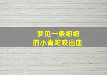 梦见一条细细的小青蛇咬出血