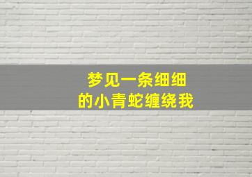 梦见一条细细的小青蛇缠绕我