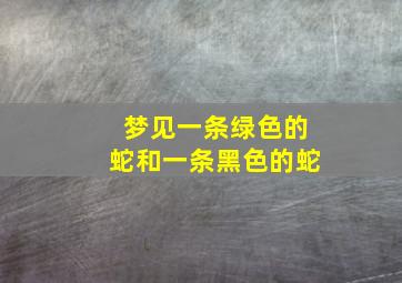 梦见一条绿色的蛇和一条黑色的蛇