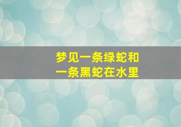 梦见一条绿蛇和一条黑蛇在水里