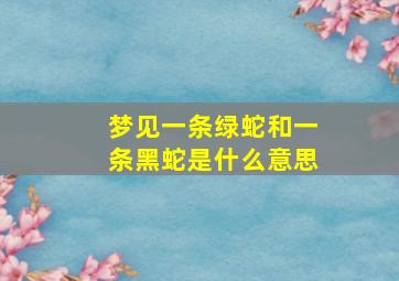 梦见一条绿蛇和一条黑蛇是什么意思