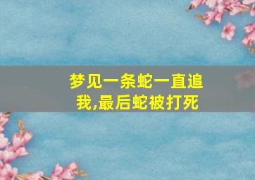 梦见一条蛇一直追我,最后蛇被打死