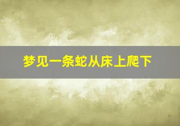 梦见一条蛇从床上爬下