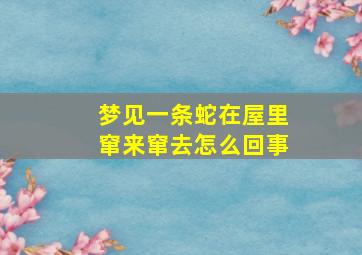 梦见一条蛇在屋里窜来窜去怎么回事