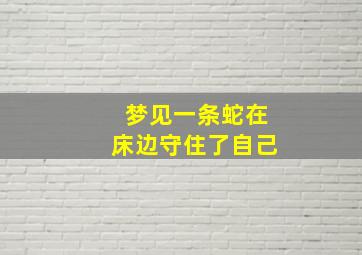 梦见一条蛇在床边守住了自己