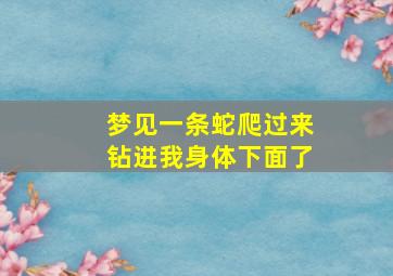 梦见一条蛇爬过来钻进我身体下面了