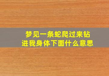 梦见一条蛇爬过来钻进我身体下面什么意思