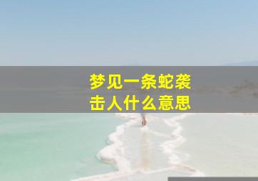 梦见一条蛇袭击人什么意思