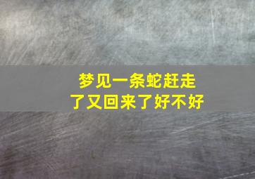 梦见一条蛇赶走了又回来了好不好