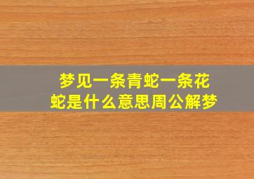 梦见一条青蛇一条花蛇是什么意思周公解梦