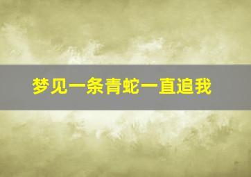 梦见一条青蛇一直追我