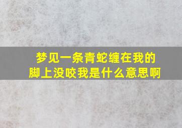 梦见一条青蛇缠在我的脚上没咬我是什么意思啊