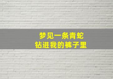 梦见一条青蛇钻进我的裤子里