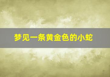 梦见一条黄金色的小蛇