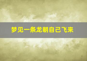 梦见一条龙朝自己飞来