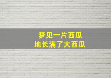 梦见一片西瓜地长满了大西瓜