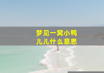 梦见一窝小鸭儿儿什么意思