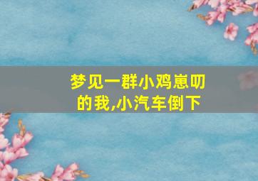 梦见一群小鸡崽叨的我,小汽车倒下