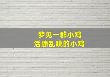 梦见一群小鸡活蹦乱跳的小鸡