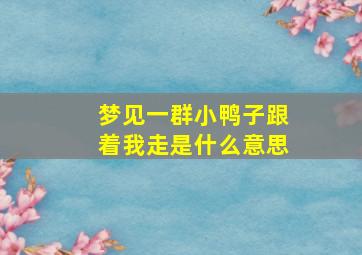 梦见一群小鸭子跟着我走是什么意思