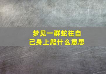 梦见一群蛇往自己身上爬什么意思