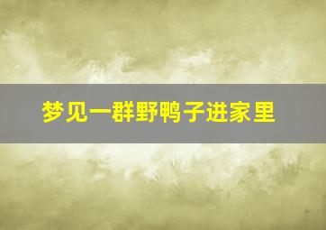 梦见一群野鸭子进家里