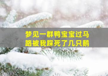 梦见一群鸭宝宝过马路被我踩死了几只鹅