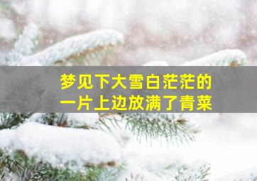 梦见下大雪白茫茫的一片上边放满了青菜