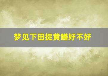 梦见下田捉黄鳝好不好