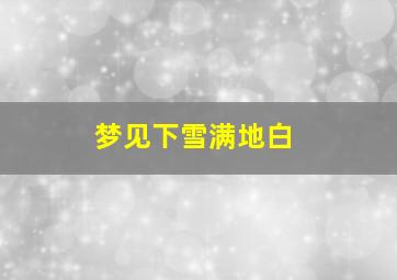 梦见下雪满地白