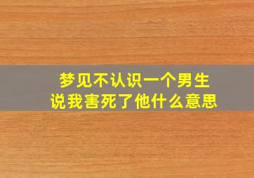 梦见不认识一个男生说我害死了他什么意思