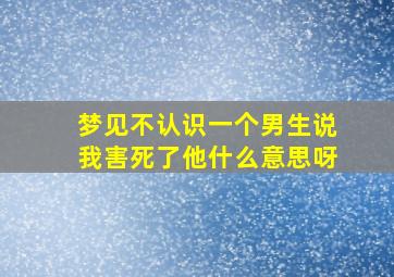 梦见不认识一个男生说我害死了他什么意思呀