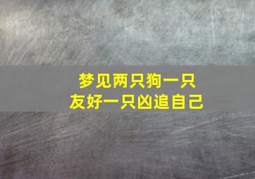 梦见两只狗一只友好一只凶追自己