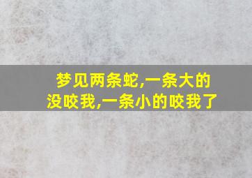 梦见两条蛇,一条大的没咬我,一条小的咬我了