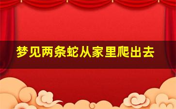 梦见两条蛇从家里爬出去