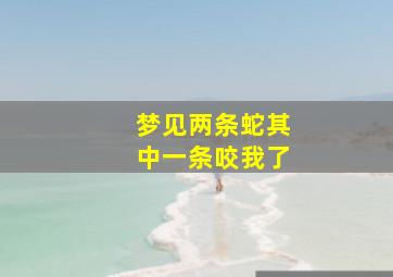 梦见两条蛇其中一条咬我了