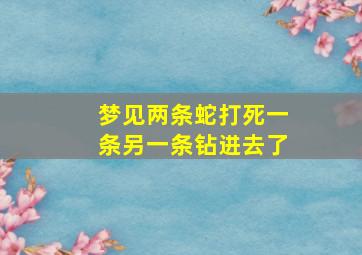 梦见两条蛇打死一条另一条钻进去了