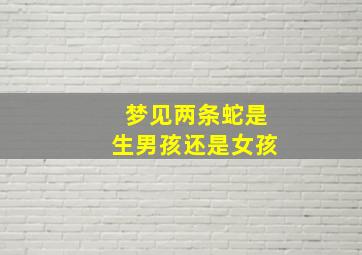 梦见两条蛇是生男孩还是女孩